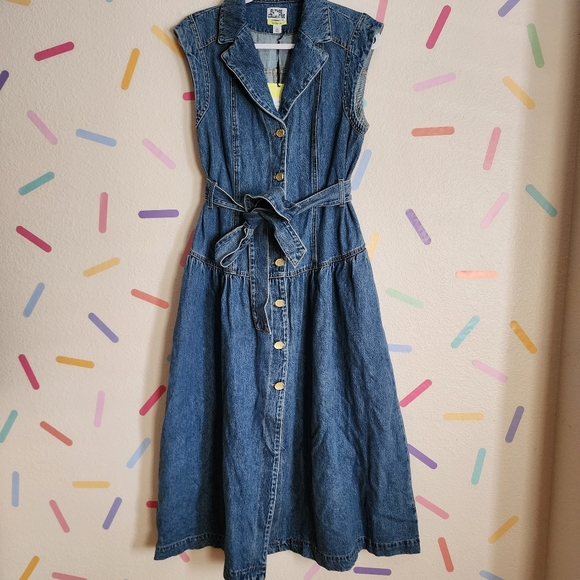 Sleeveless Denim Button Front Midi Dress NWT but needs minor repair Size 4 - Picture 3 of 12